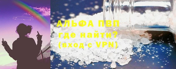 прущие грибы Бородино