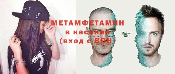 прущие грибы Бородино