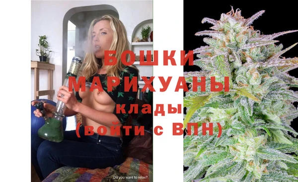 2c-b Горнозаводск