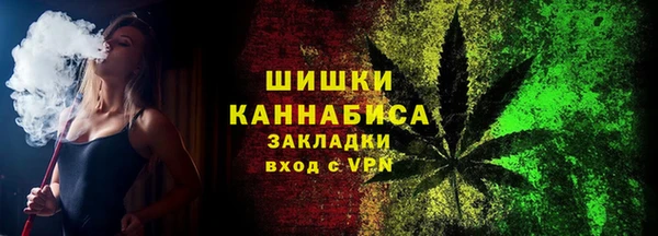 прущие грибы Бородино