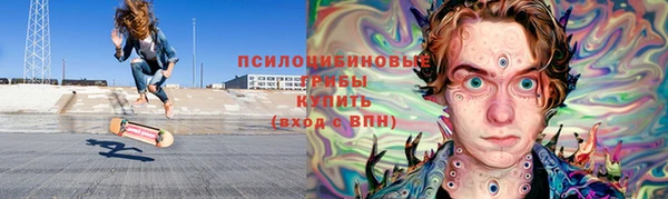 хмурый Бронницы